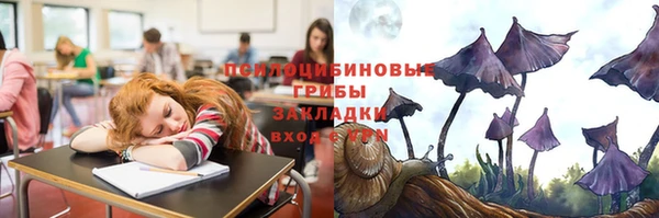 шишки Бронницы