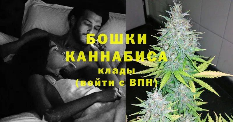 omg рабочий сайт  купить наркоту  Уржум  Бошки марихуана SATIVA & INDICA 